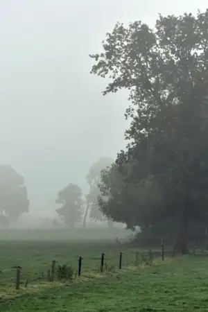 IPMA reforça alerta amarelo em 11 distritos de Portugal devido a nova vaga de frio pós-Natal